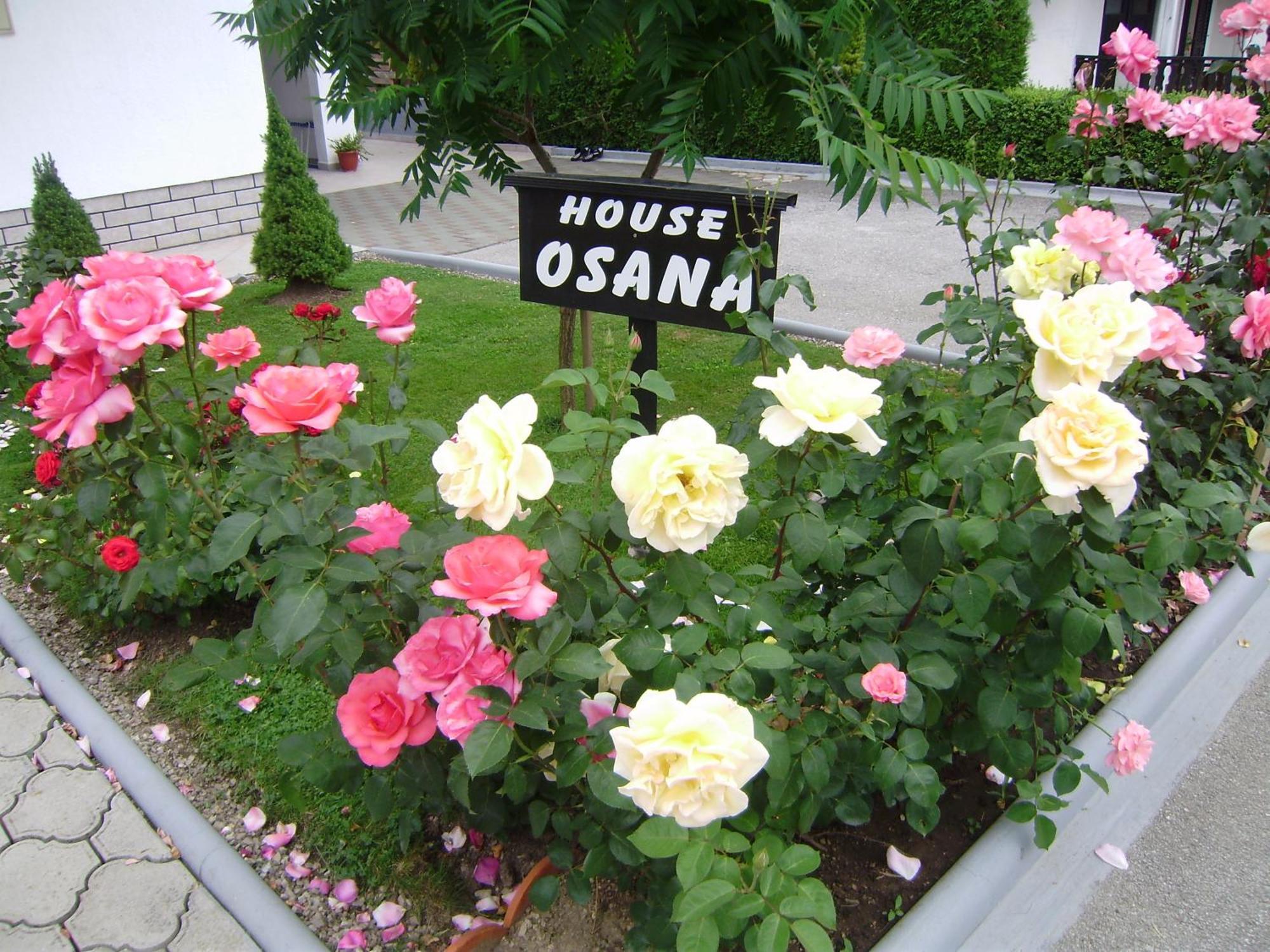 House Osana Hotel Grabovac  Ngoại thất bức ảnh